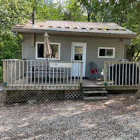 Bayshore Cottages Wiarton Eksteriør billede